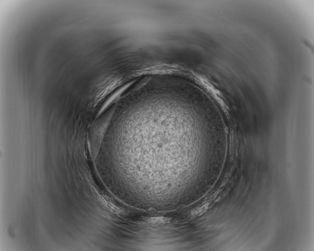 X0000097510153200802291626