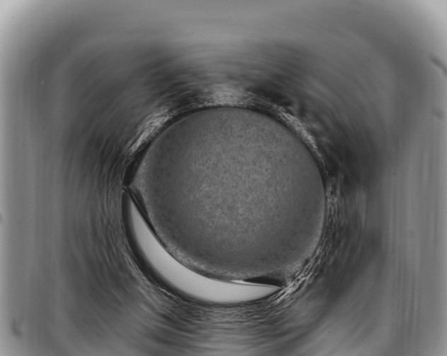 X0000097510154200802291626