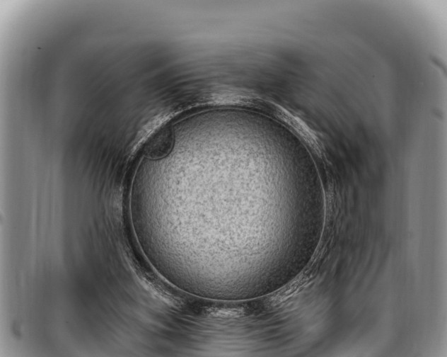 X0000097510155200802291626