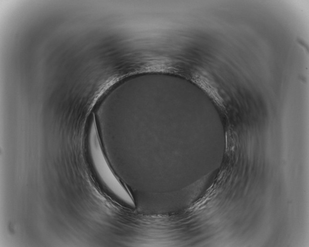 X0000097510156200802291626