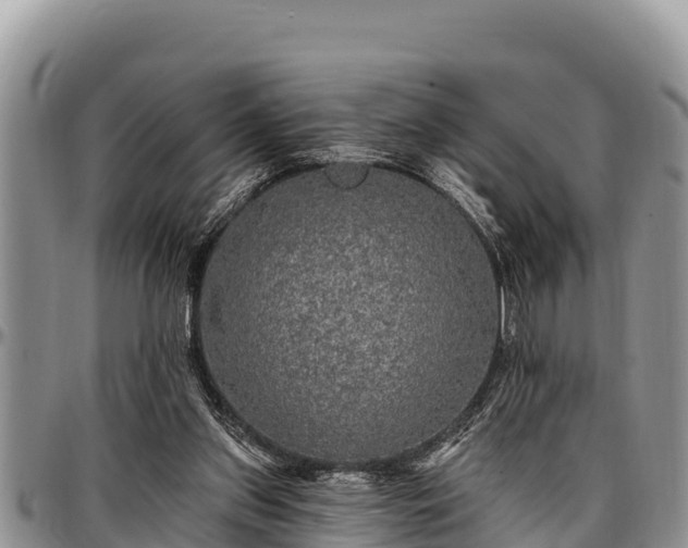 X0000097510157200802291626