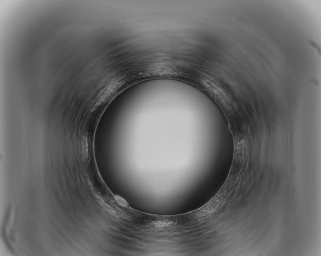 X0000097510158200802291626