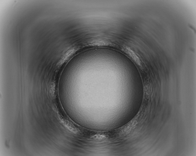 X0000097510159200802291626