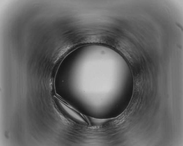 X0000097510160200802291626