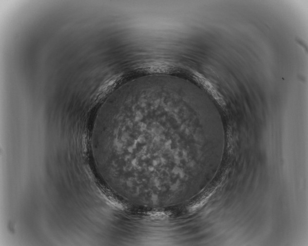 X0000097510161200802291626