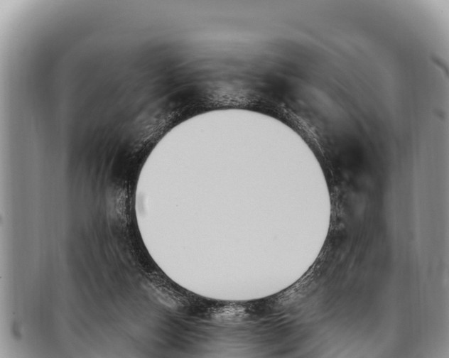 X0000097510162200802291626