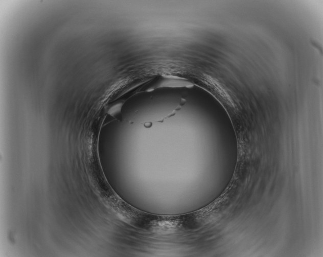 X0000097510163200802291626