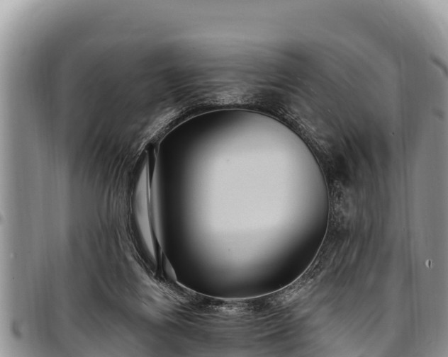 X0000097510164200802291626