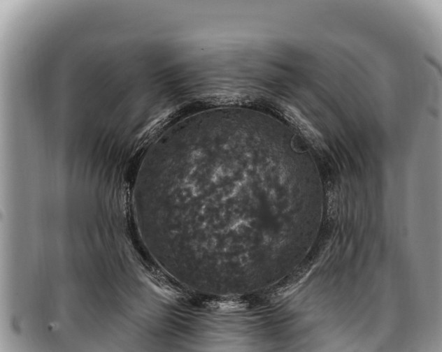 X0000097510165200802291626