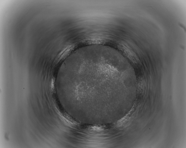 X0000097510166200802291626