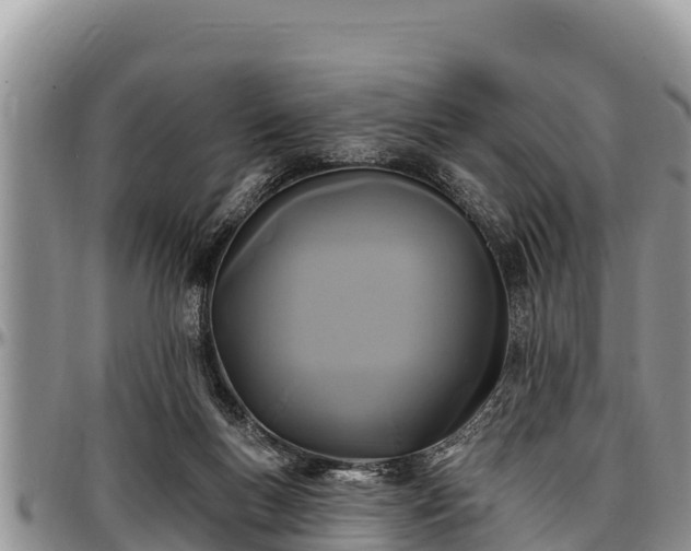 X0000097510167200802291626