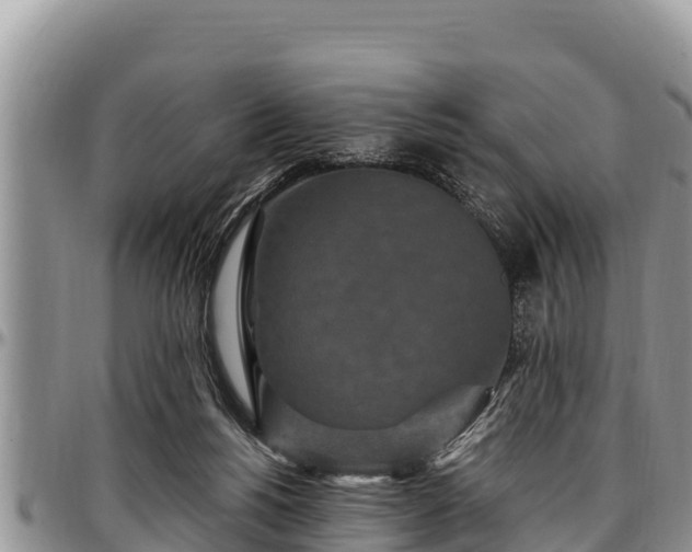 X0000097510168200802291626