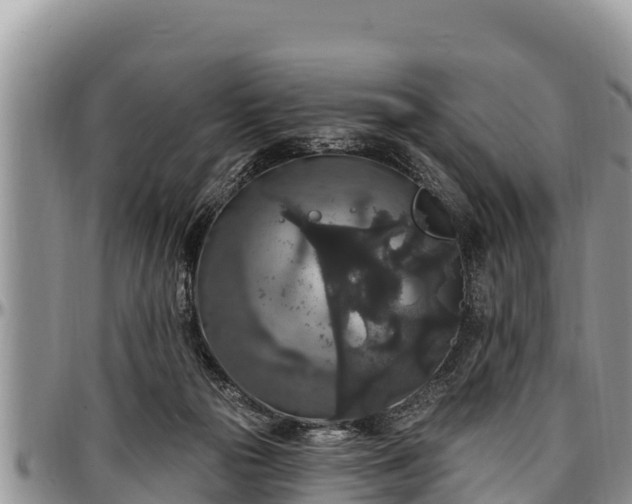 X0000097510169200802291626