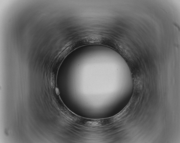 X0000097510170200802291626