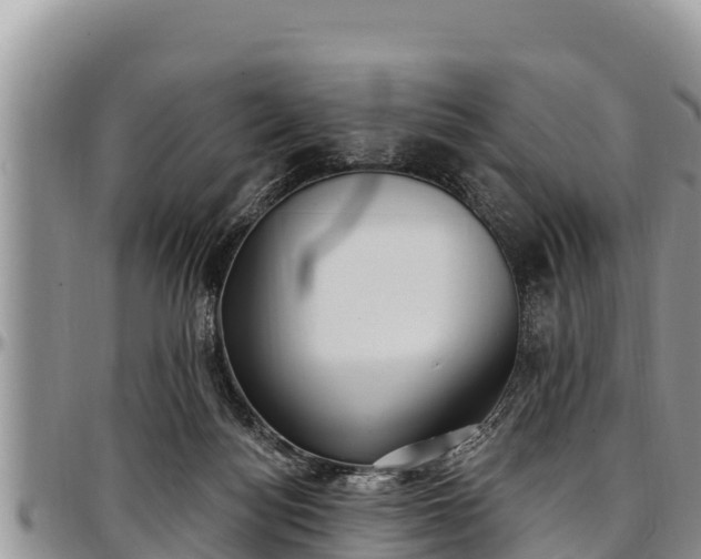 X0000097510172200802291626