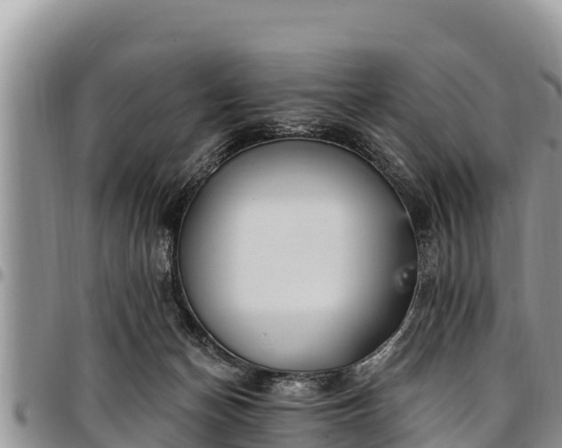 X0000097510174200802291626