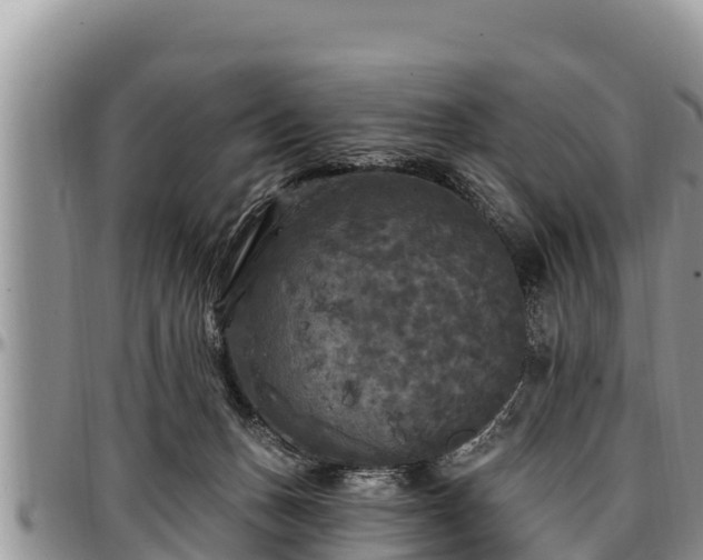 X0000097510175200802291626