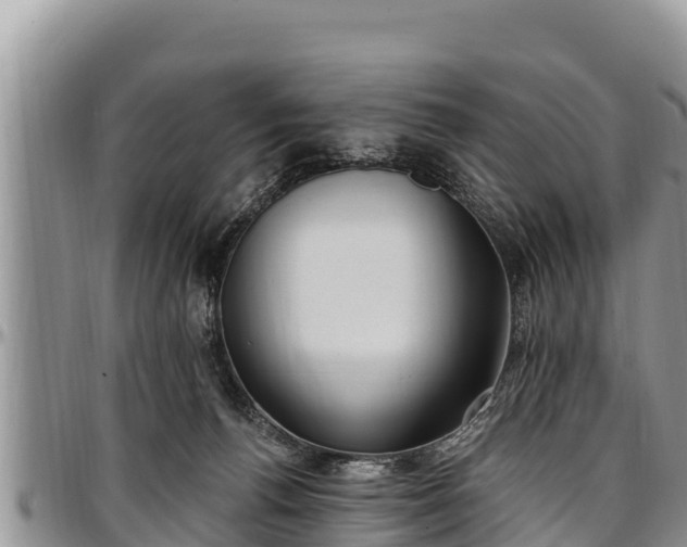 X0000097510176200802291626