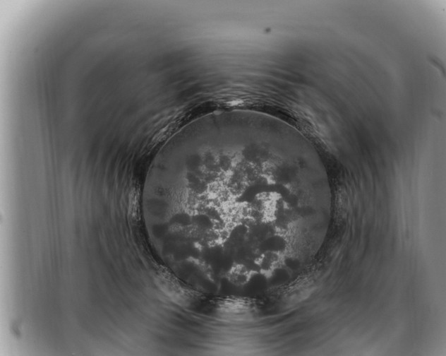 X0000097510177200802291626