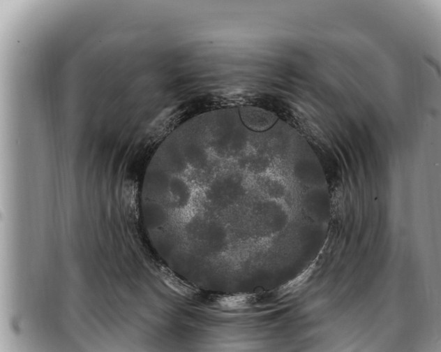 X0000097510178200802291626