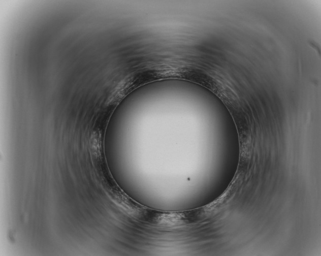 X0000097510179200802291626