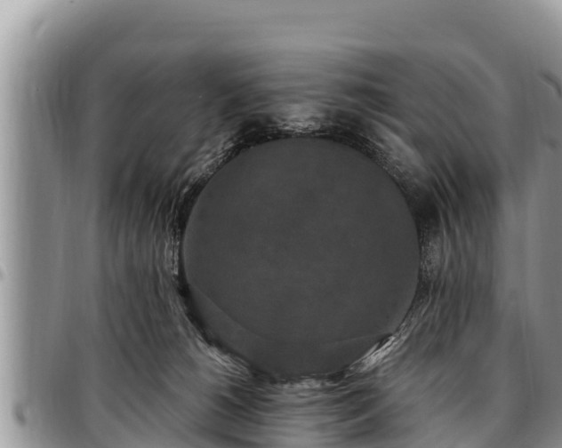 X0000097510180200802291626