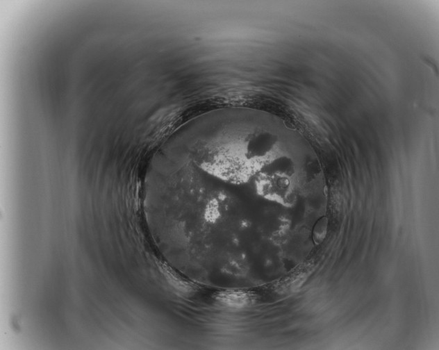 X0000097510181200802291626