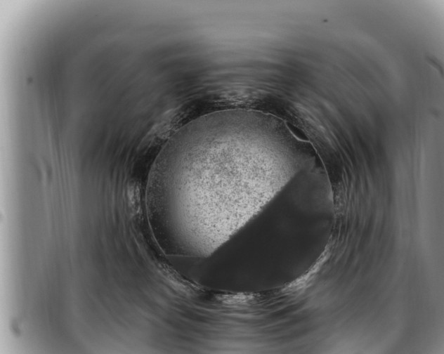 X0000097510182200802291626