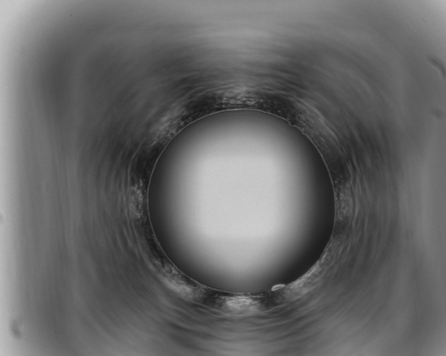 X0000097510183200802291626