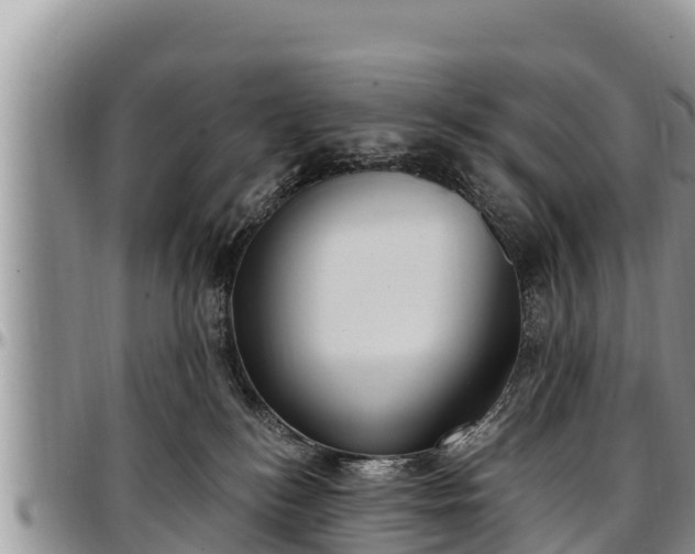 X0000097510184200802291626