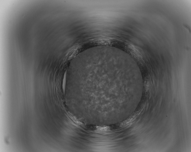 X0000097510185200802291626