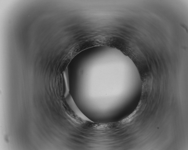 X0000097510186200802291626