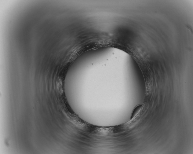 X0000097510187200802291626