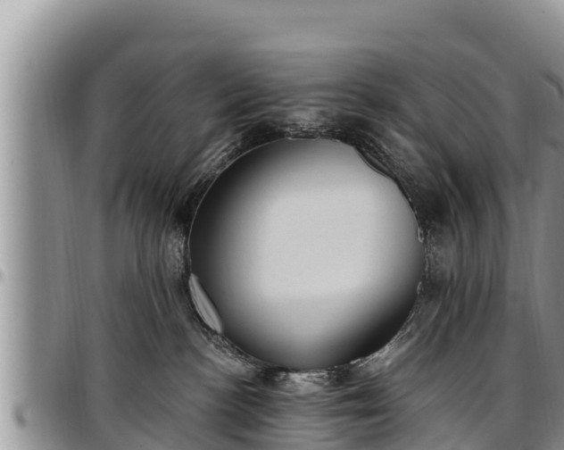 X0000097510188200802291626