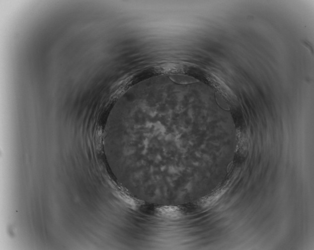 X0000097510189200802291626