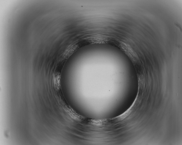 X0000097510190200802291626