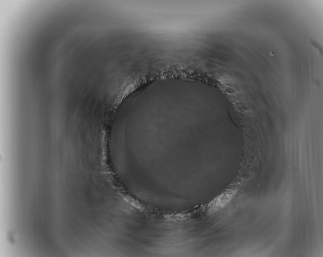 X0000097510192200802291626