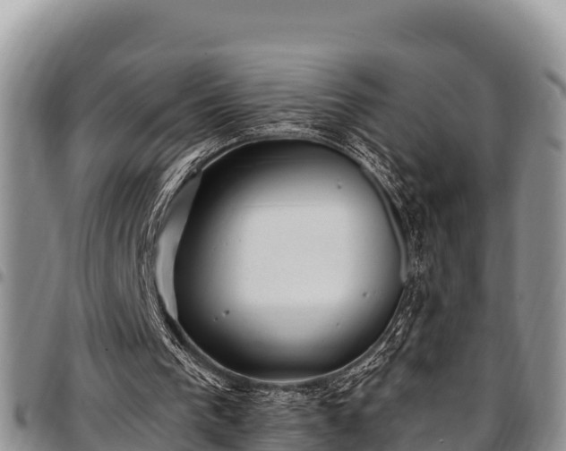 X0000097510193200802291625