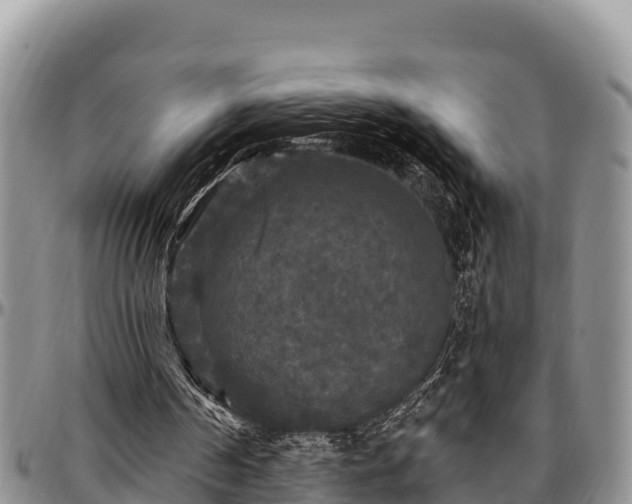 X0000097510194200802291625