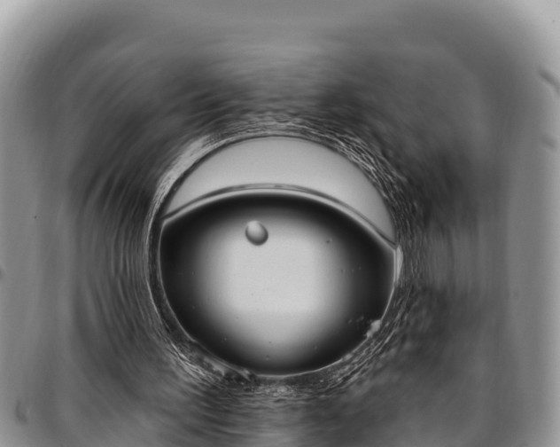 X0000097510195200802291625