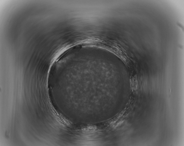 X0000097510196200802291625