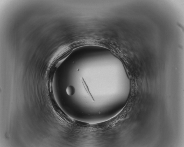 X0000097510197200802291625