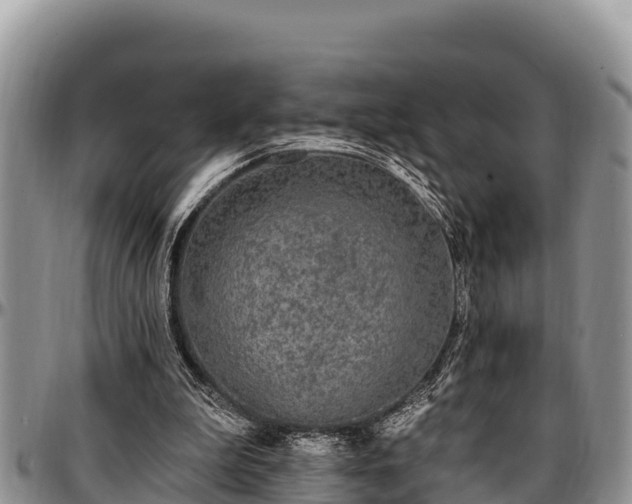 X0000097510199200802291625