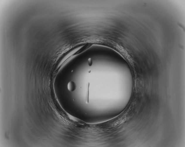 X0000097510201200802291625