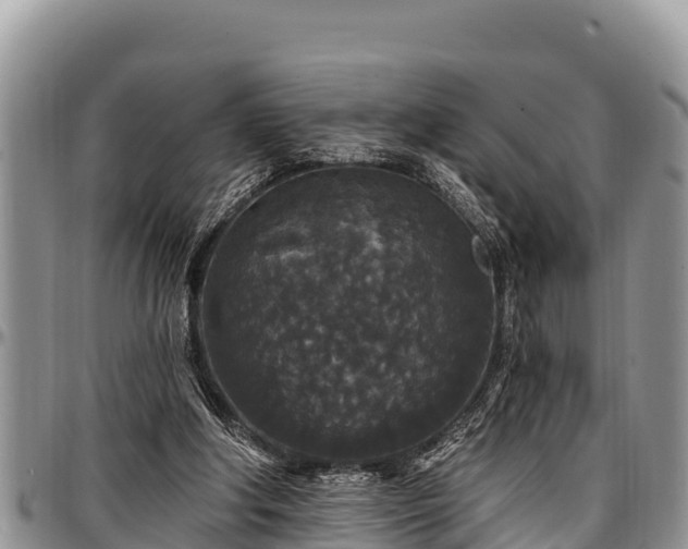 X0000097510202200802291625