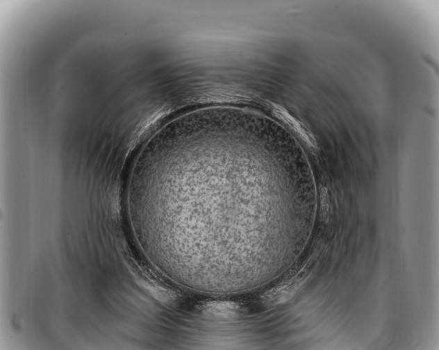 X0000097510203200802291625