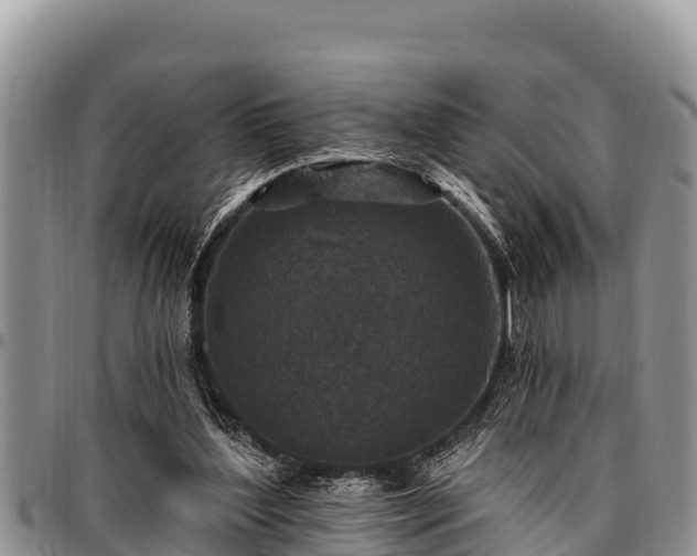 X0000097510204200802291625