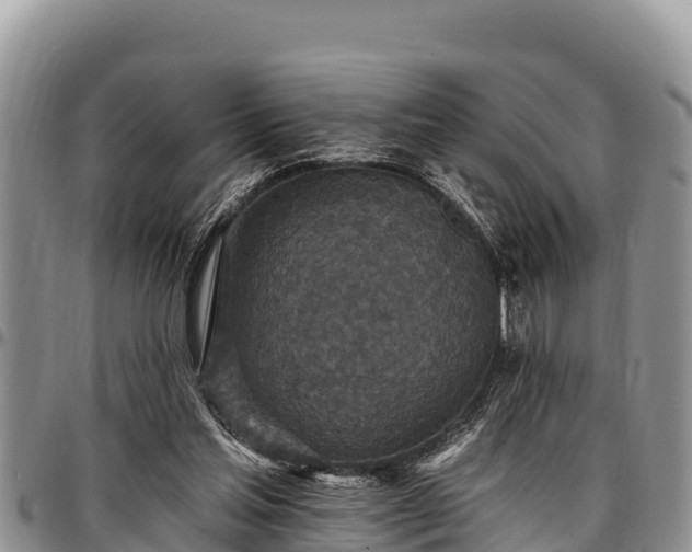 X0000097510205200802291625