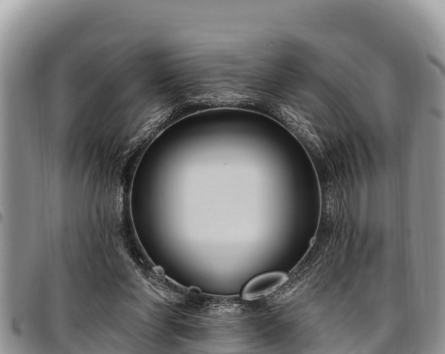 X0000097510206200802291625