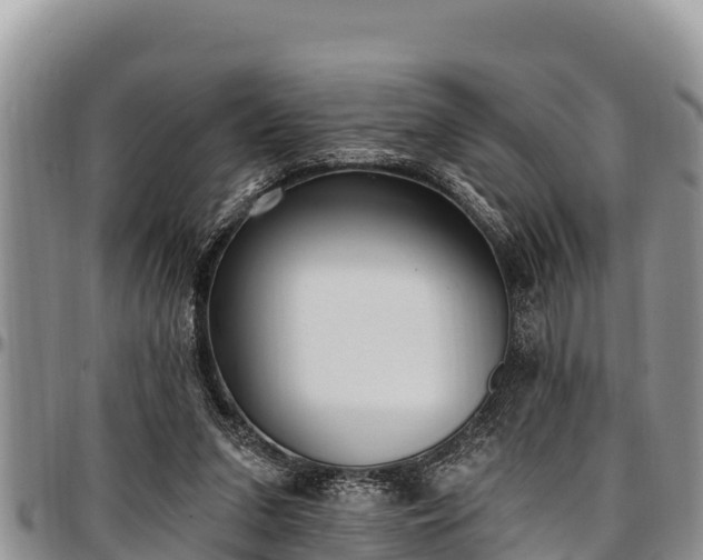 X0000097510207200802291625